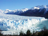 Calafate